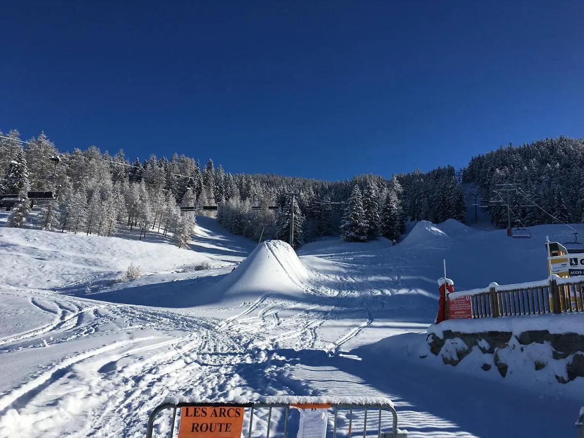 Petit Mont Blanc Guest House Peisey-Nancroix Lodge