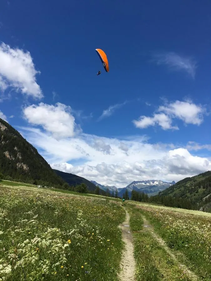Petit Mont Blanc Guest House Peisey-Nancroix 0*,  Francja